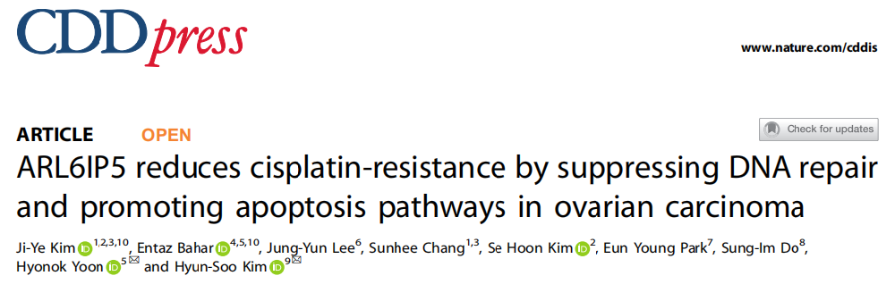 ARL6IP5通过抑制DNA修复和促进卵巢癌中的细胞凋亡途径来降低顺铂耐药性
