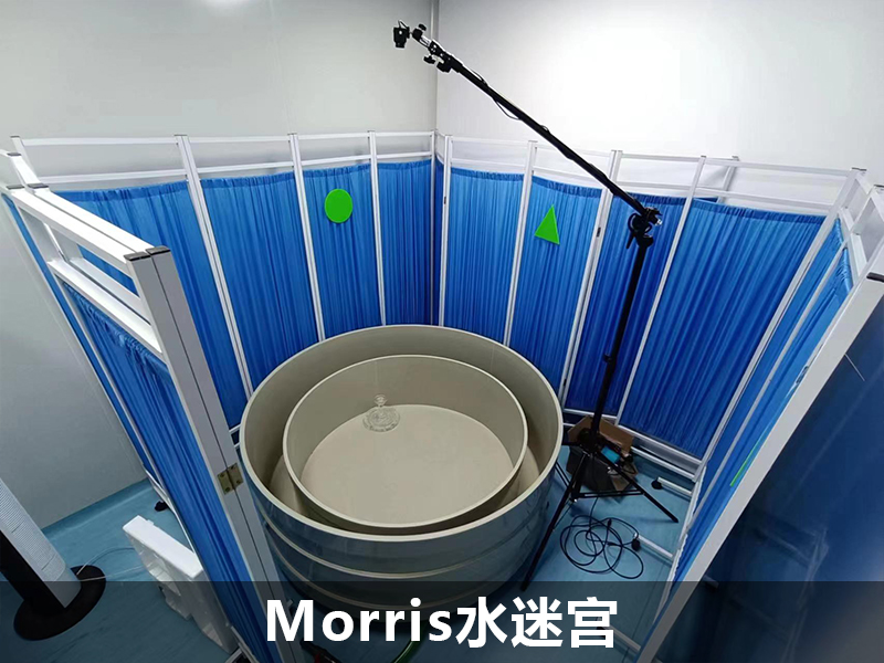 Morris水迷宫  .jpg