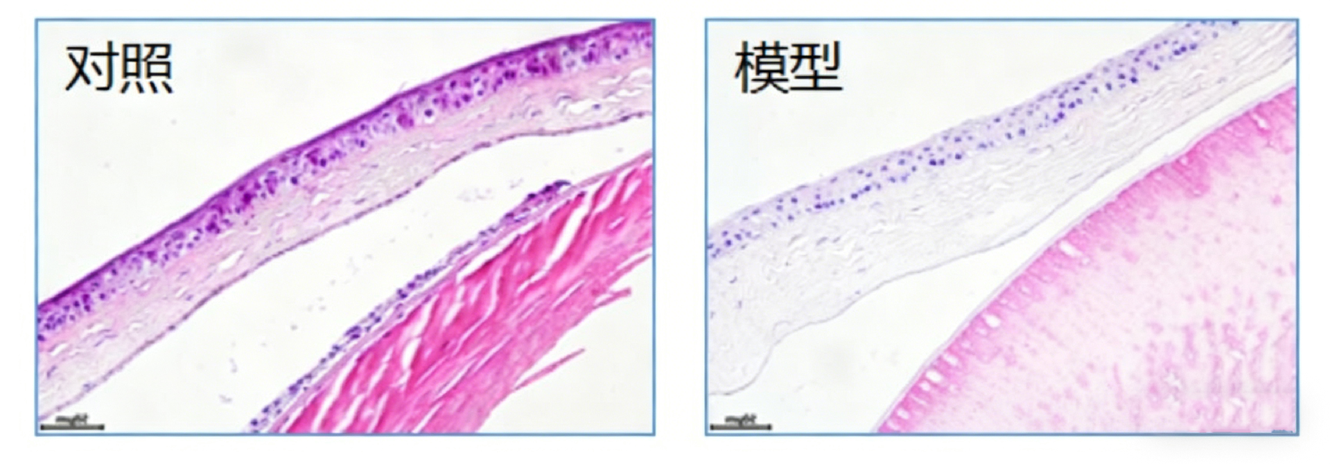 33.png
